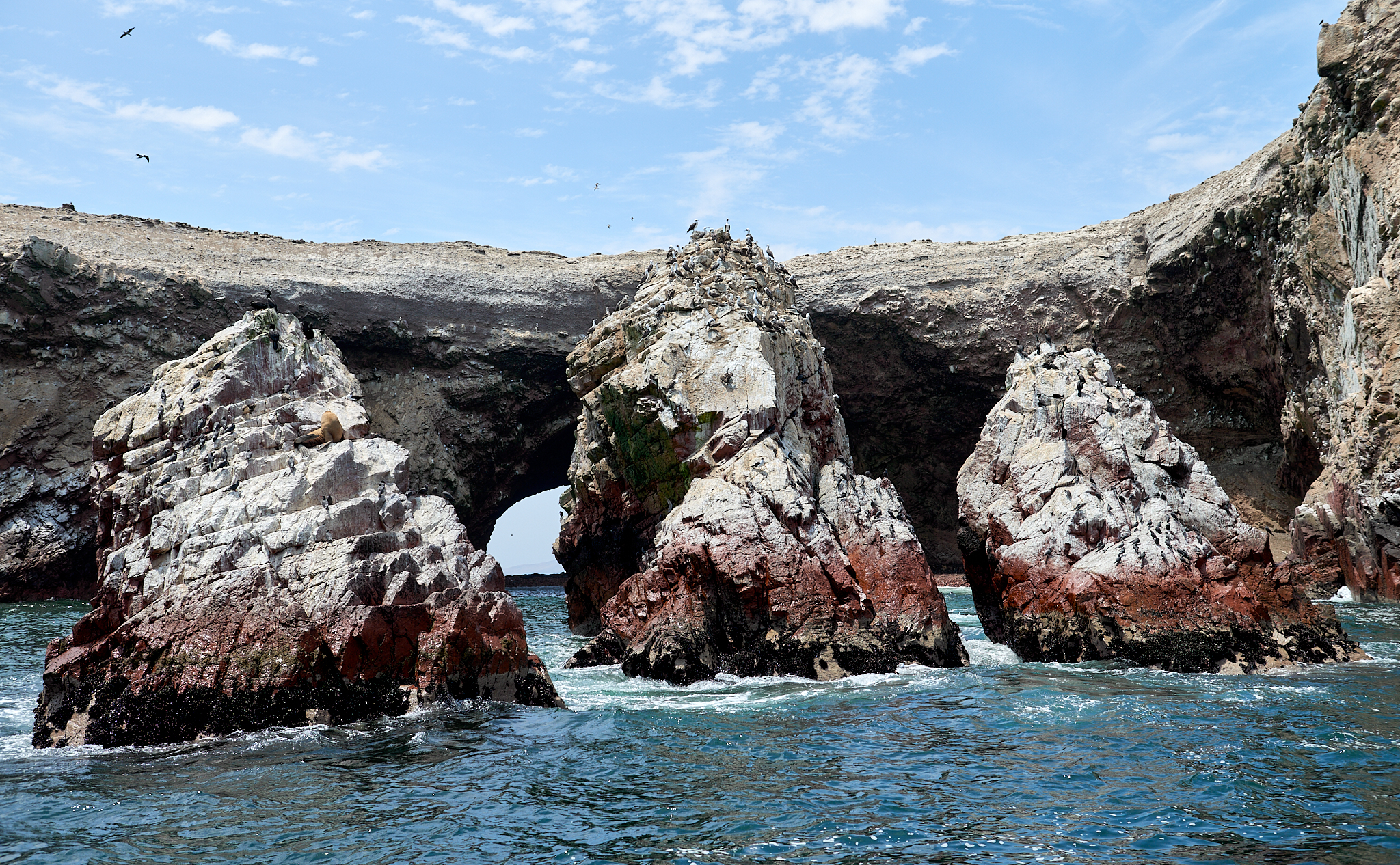 20200304 151 [페루] 바예스타섬